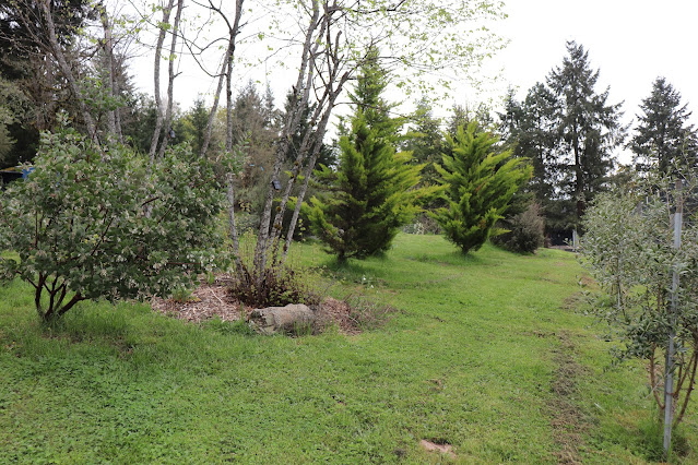evolution of a garden border