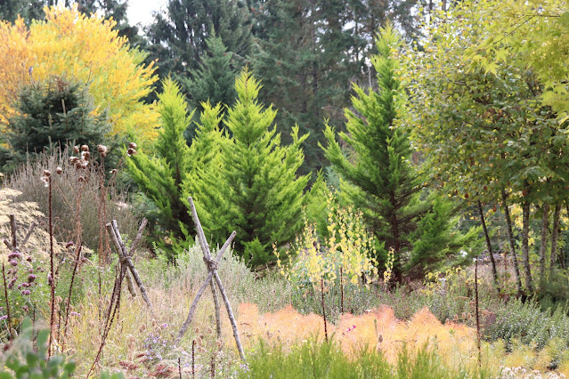 evolution of a garden border