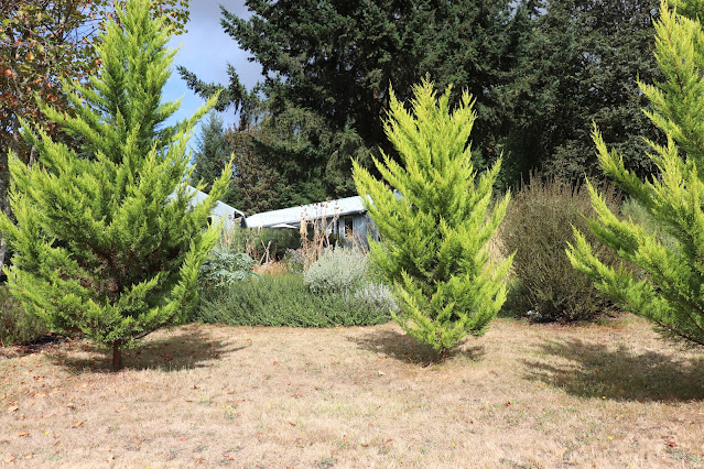 evolution of a garden border