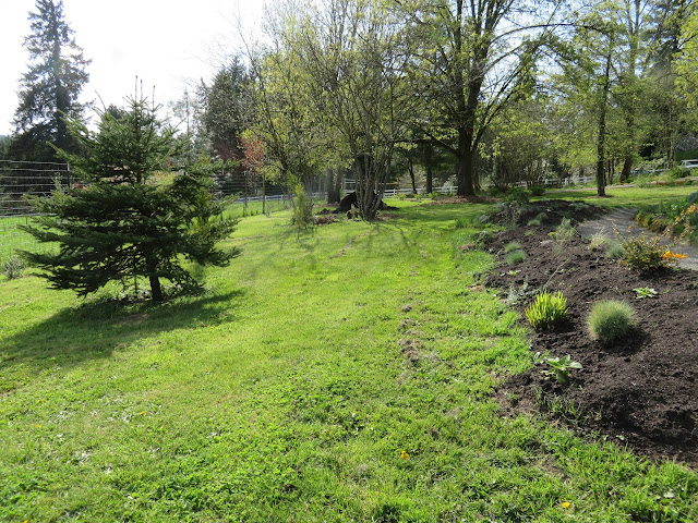 evolution of a garden border
