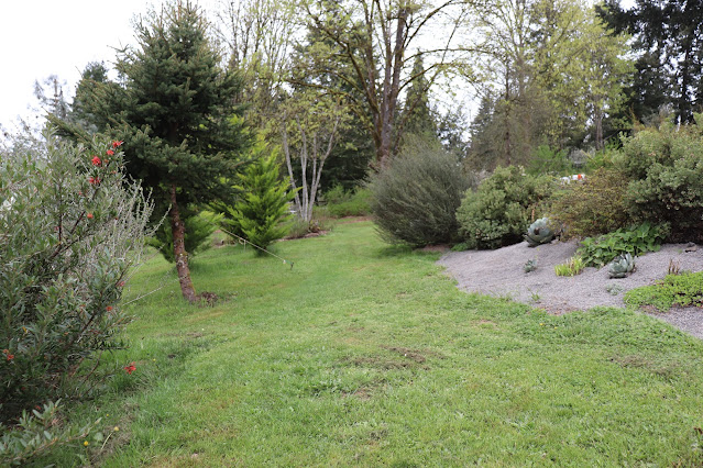 evolution of a garden border