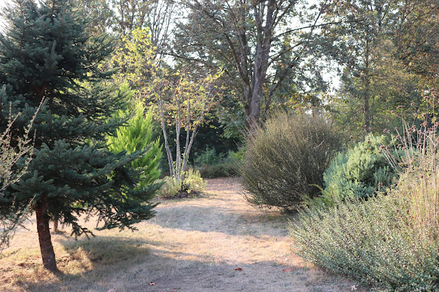 evolution of a garden border