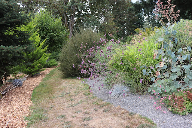 evolution of a garden border