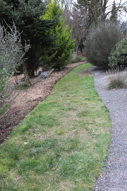 evolution of a garden border