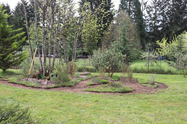 evolution of a garden border