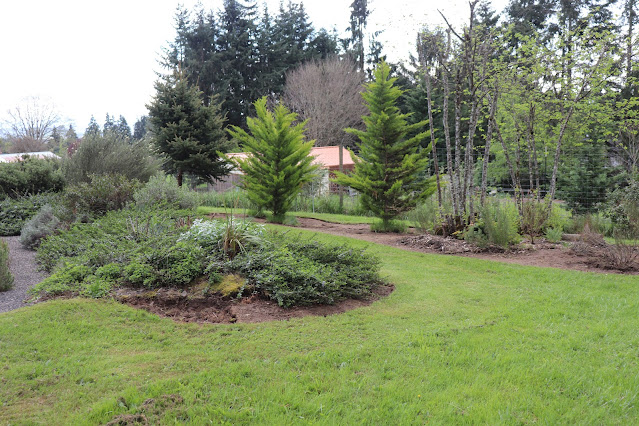 evolution of a garden border