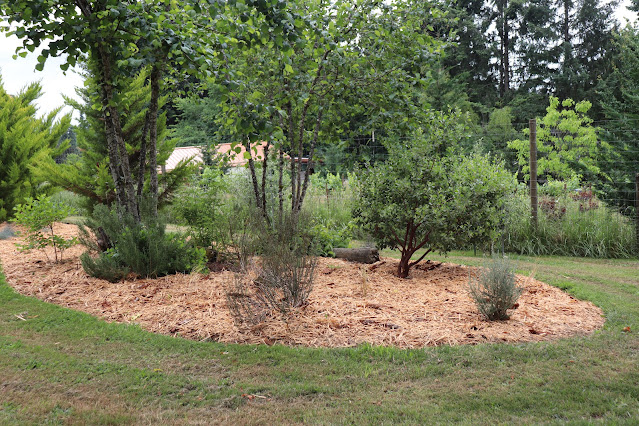 evolution of a garden border