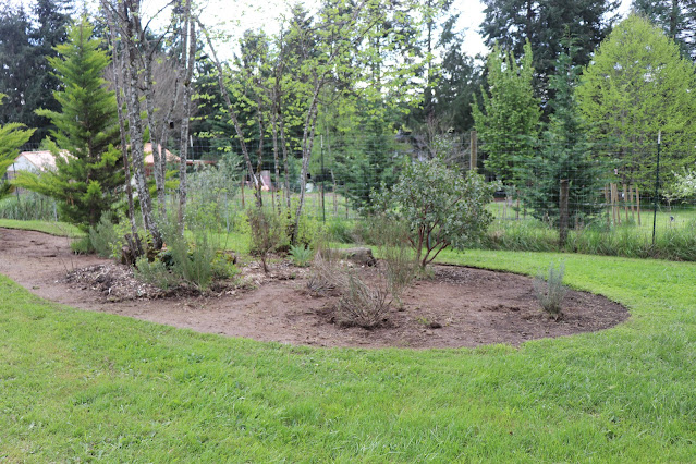 evolution of a garden border