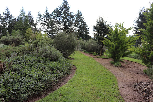 evolution of a garden border