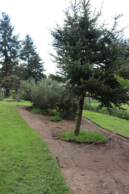 evolution of a garden border