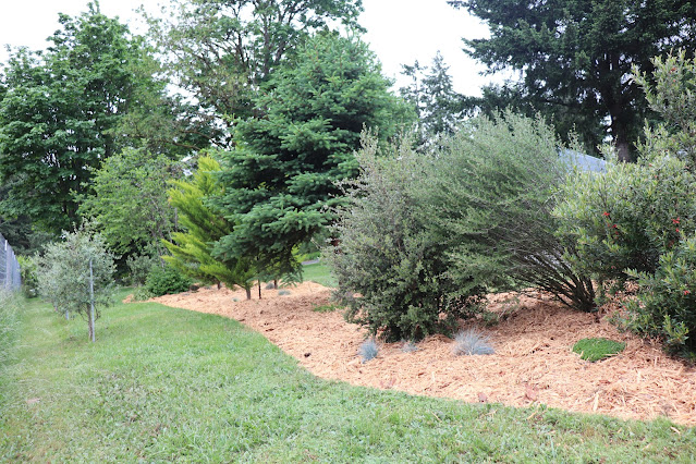evolution of a garden border