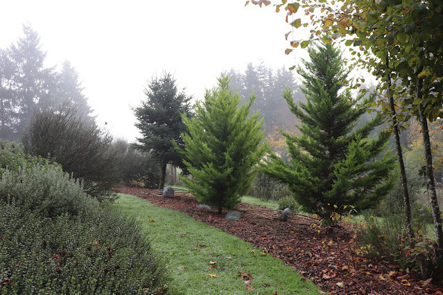 evolution of a garden border