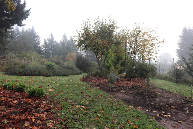 evolution of a garden border