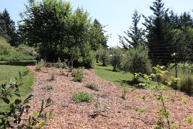 evolution of a garden border
