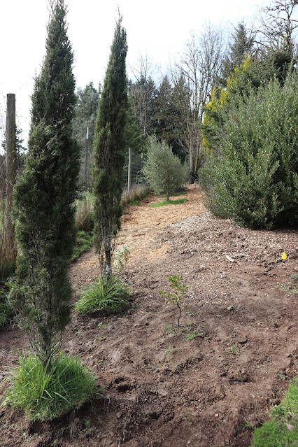 evolution of a garden border