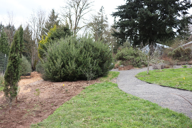 evolution of a garden border