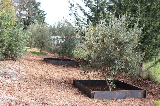 evolution of a garden border