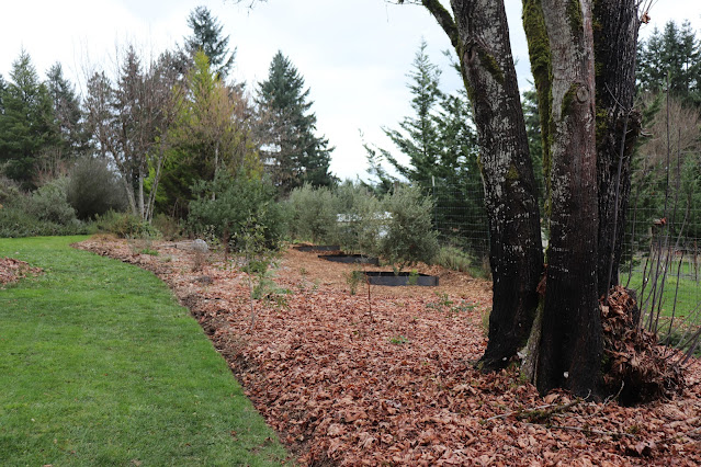 evolution of a garden border