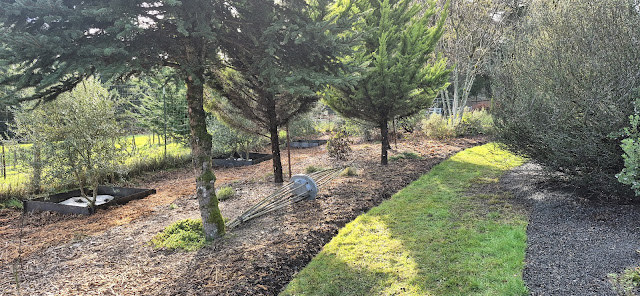 evolution of a garden border