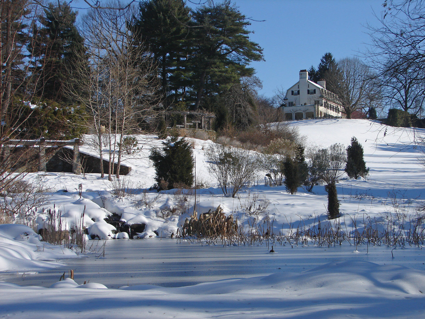 snow sketching courtesy of chanticleer garden