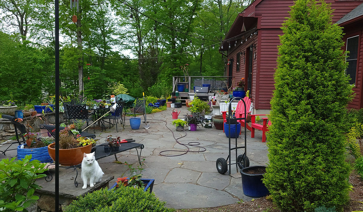 patio during spring gardening
