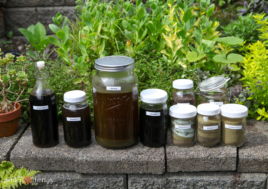homemade organic fertilizers and tea lined up outside on stone wall
