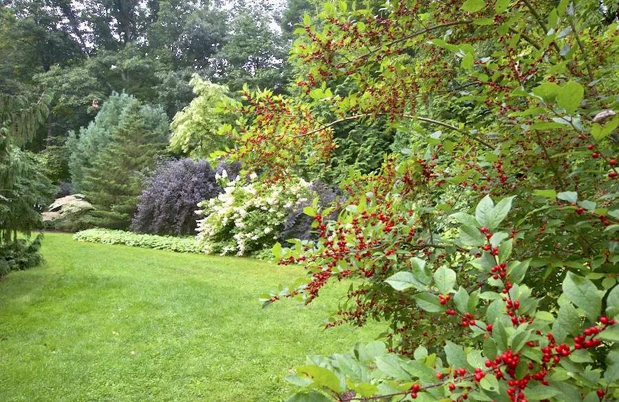 garden for birds, with cornell lab's becca rodomsky-bish 14 garden for birds, with cornell lab's becca rodomsky-bish