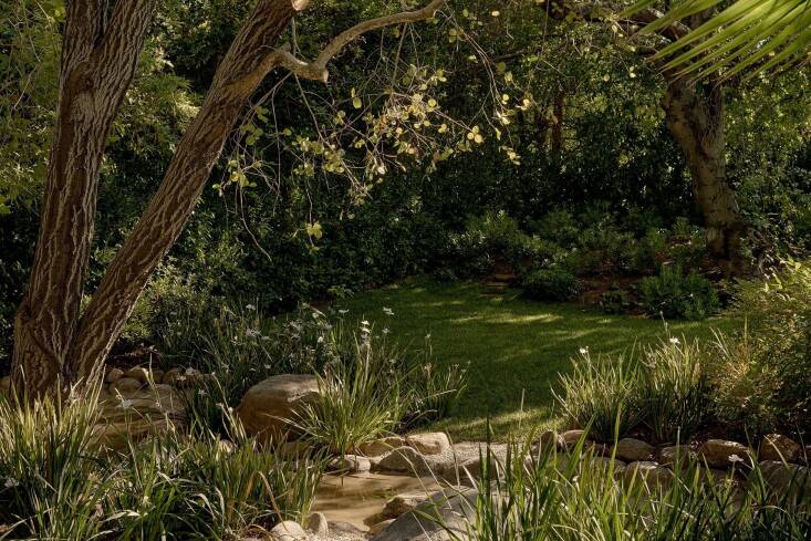a lush landscape for a pasadena project. photograph by nils timm.