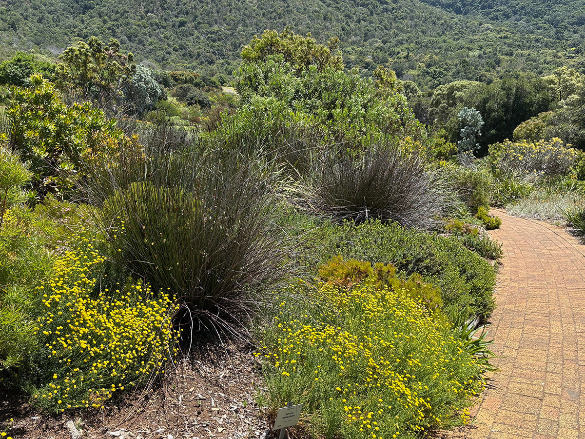 path through national botanic garden