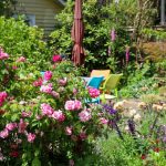 Sculpting Nature: Inside an Artist’s Garden