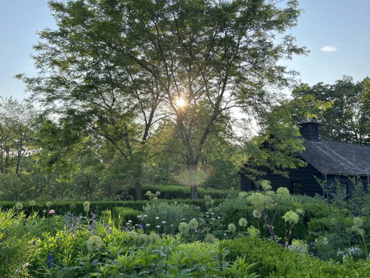 deborah needleman chose to stain the barn of her garrison new york home, which she uses as a weaving studio, black. with the window trim and doors painted black, as well, the structure cedes focus to the wild-yet-cultivated garden. photograph by miguel flores vianna, from quick takes with: deborah needleman.