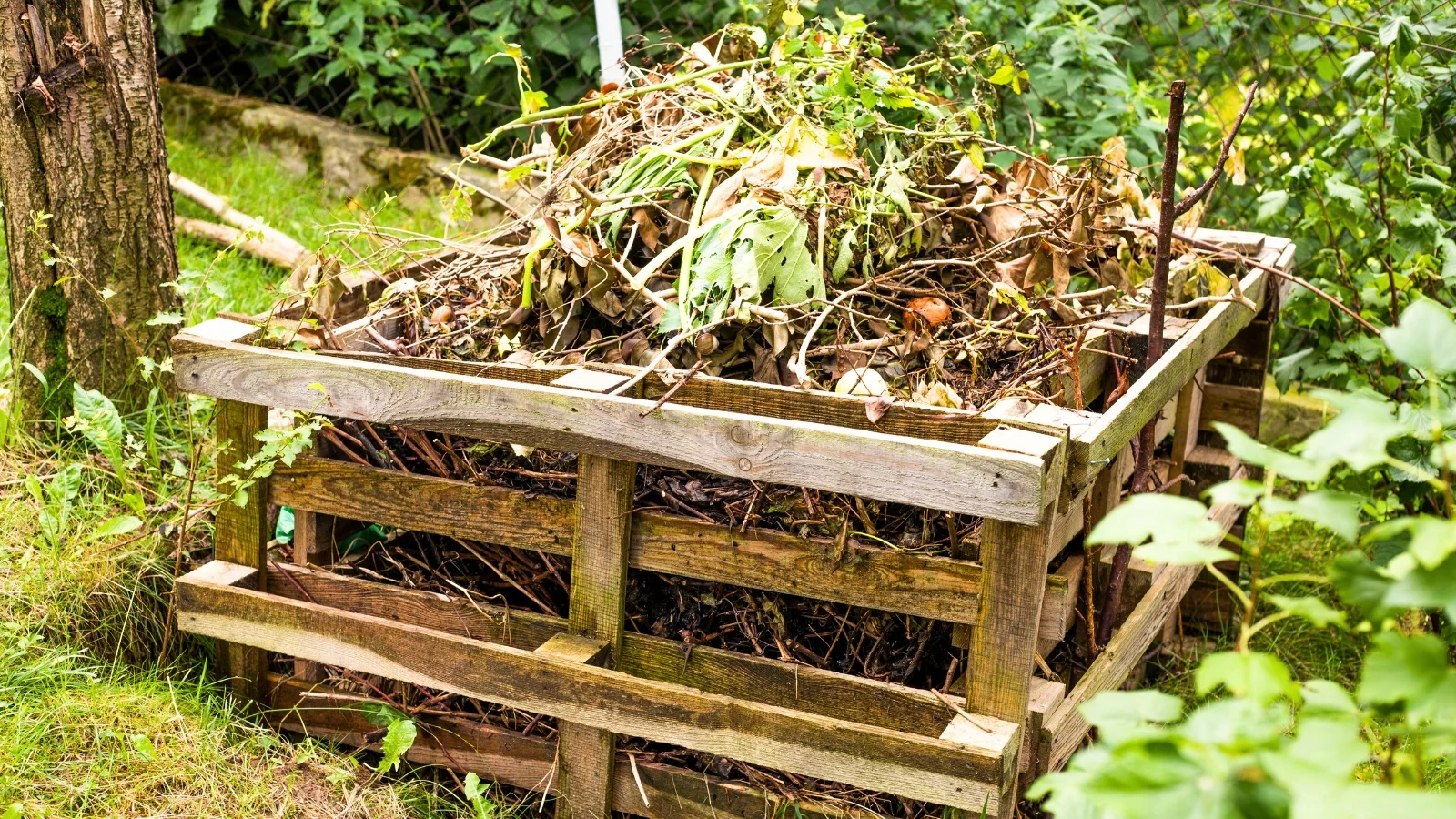 a wooden pallet composter is filled with a mix of garden debris, including leaves, twigs, and plant clippings.