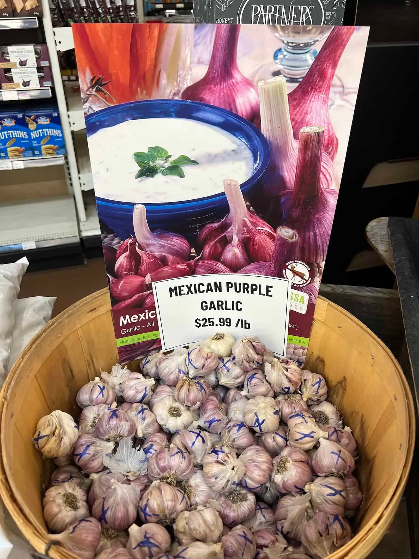 discover the bold flavor of mexican purple garlic 3 basket of mexican garlic