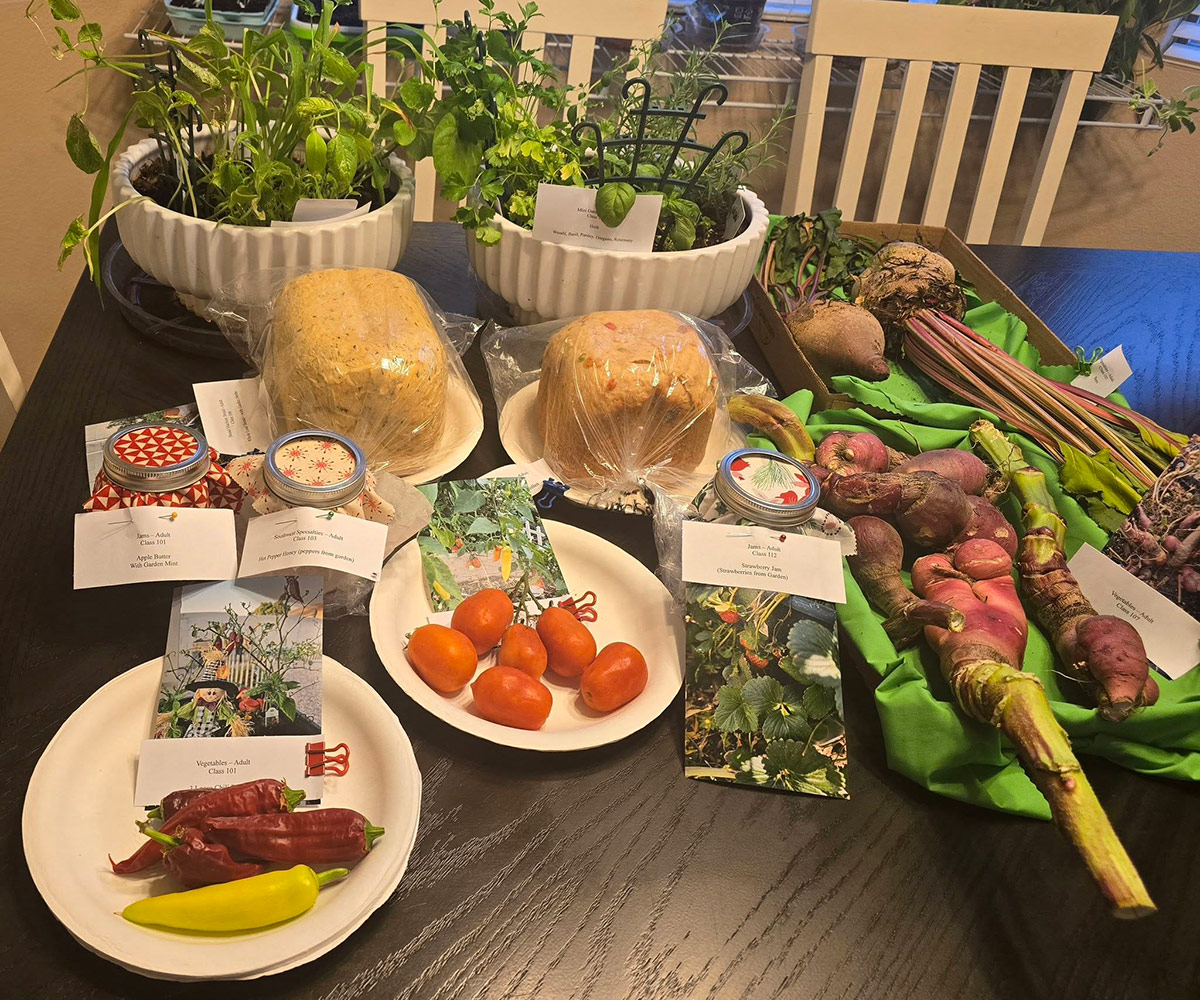 table covered in entries for county fair