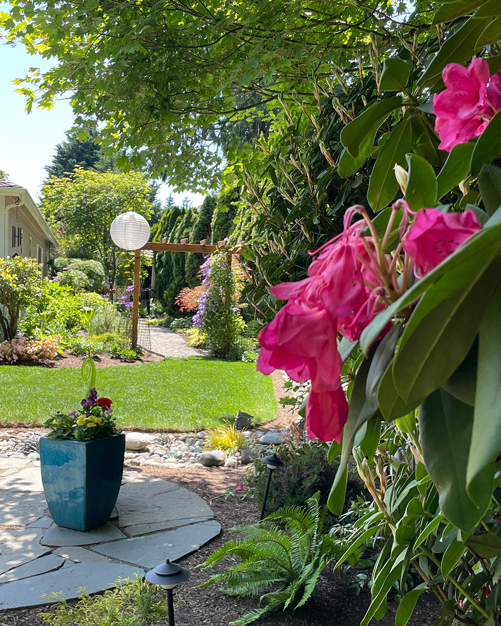 spring garden with bright pink in foreground