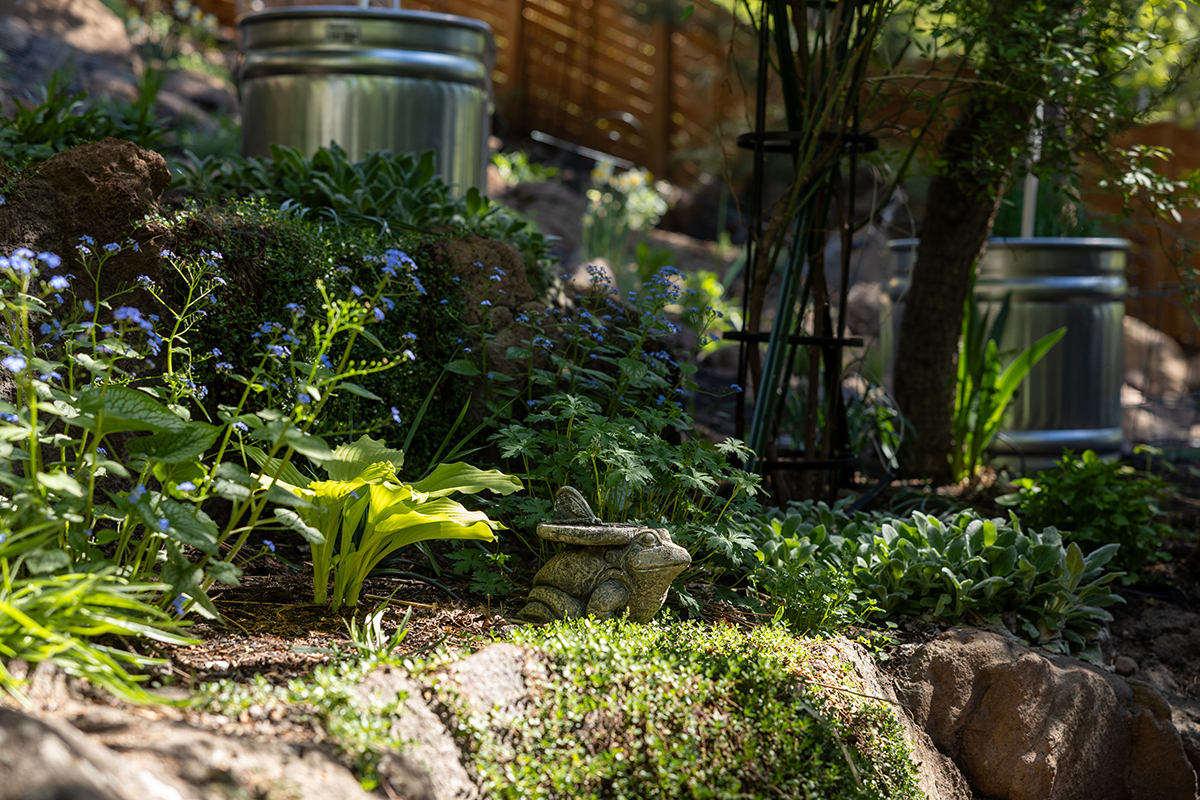 flue flowers in shady rock garden