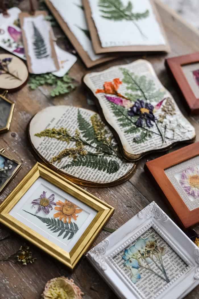 various framed and unframed pressed flowers and leaves are arranged on a wooden surface. some pieces use pages from books as backgrounds, and the frames are in different colors and styles.