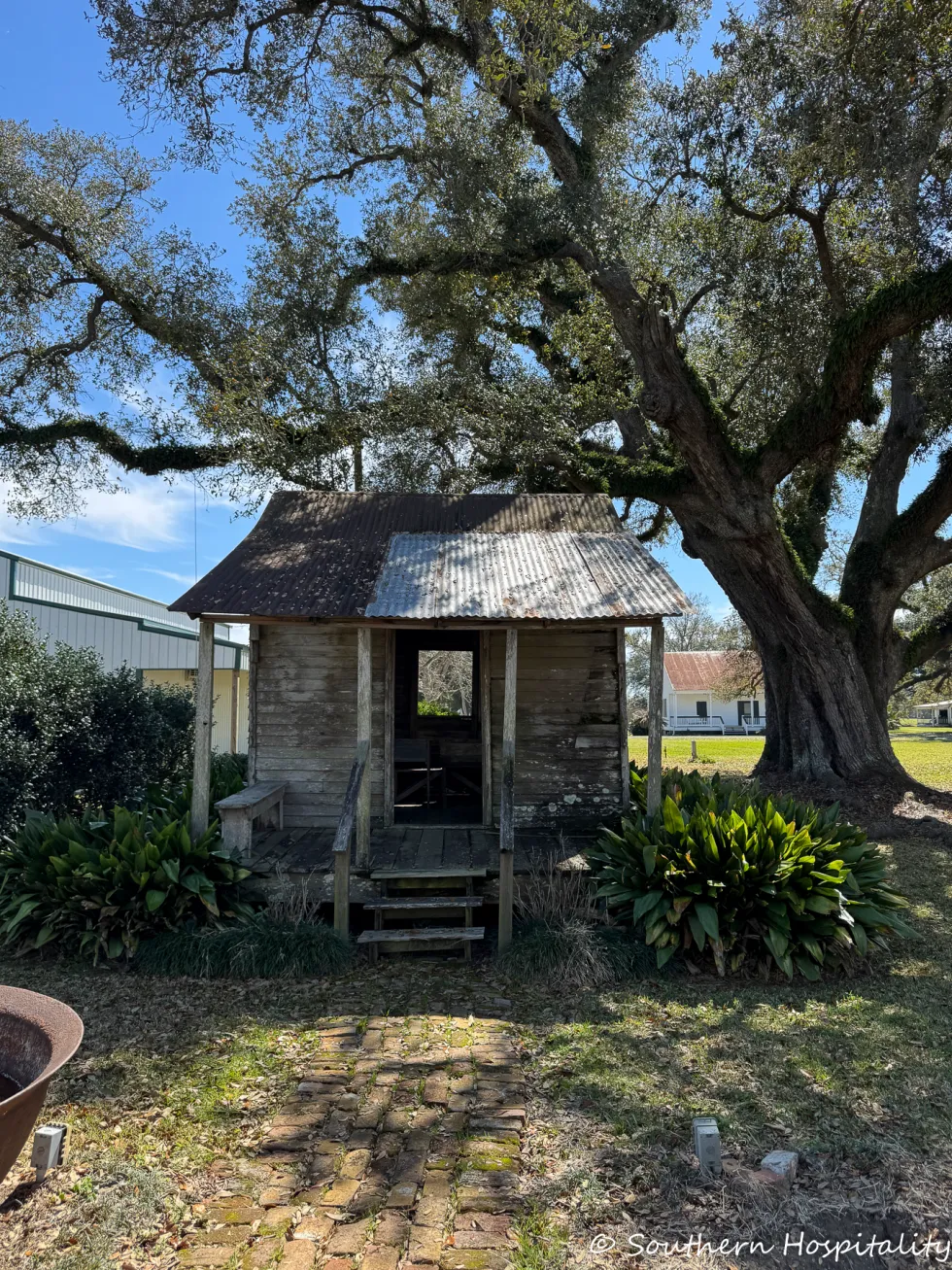 dual plantation film tour: felicity plantation & joseph plantation 2 plantation joseph plantation