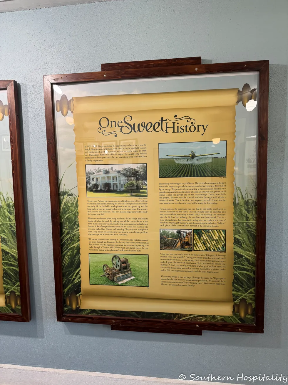 dual plantation film tour: felicity plantation & joseph plantation 5 plantation joseph plantation