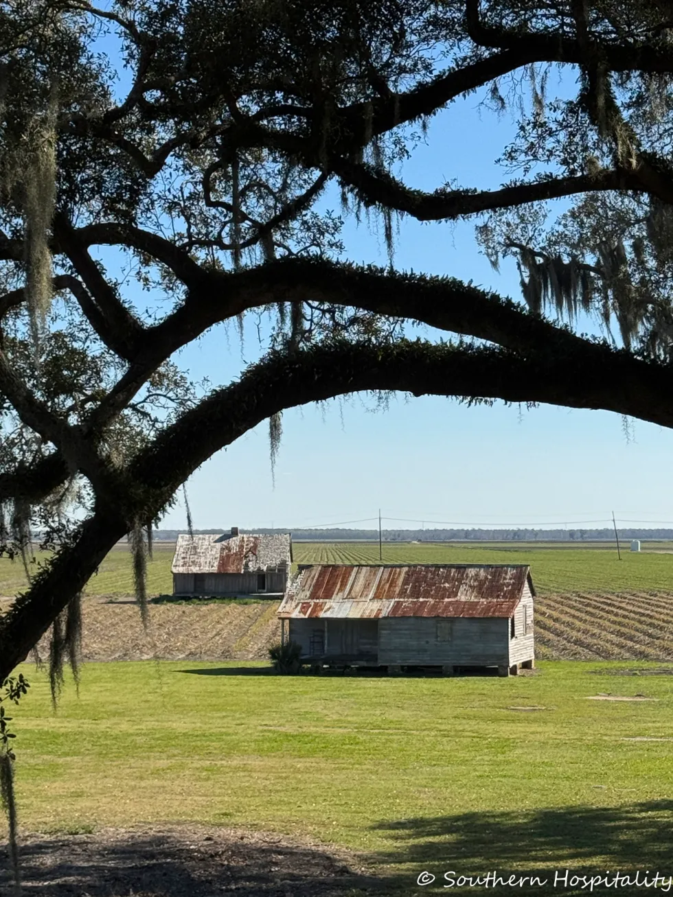 dual plantation film tour: felicity plantation & joseph plantation 27 plantation joseph plantation