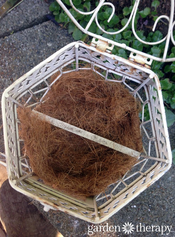 how to make a birdcage succulent planter (step 5)