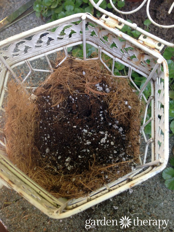 how to make a birdcage succulent planter (step 6)