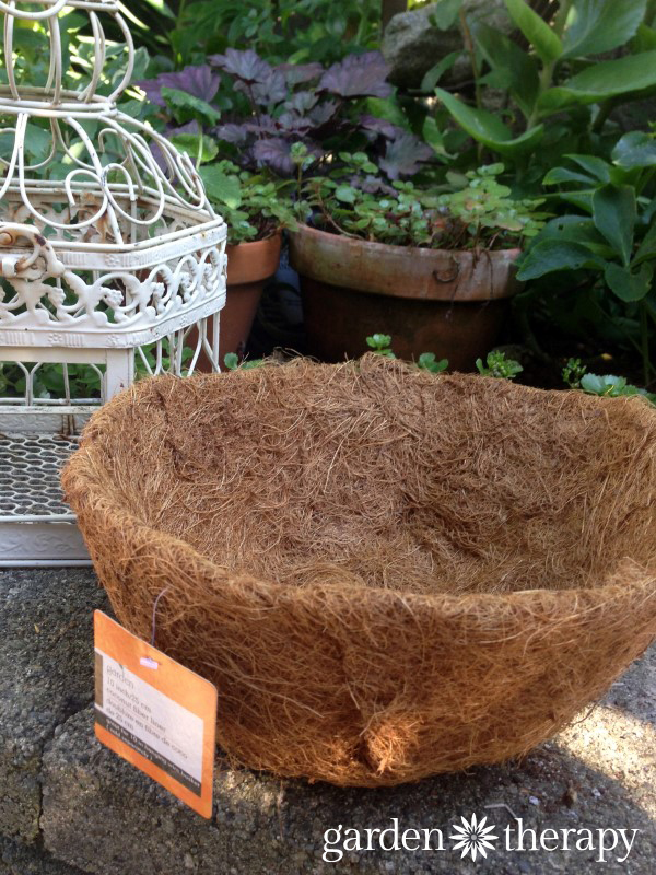 how to make a birdcage succulent planter (step 3)