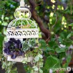 Birdcage Succulent Planter Birdcage Succulent Planter