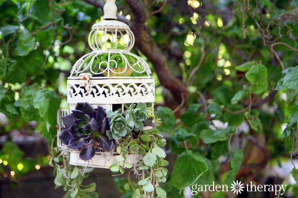 Birdcage Succulent Planter