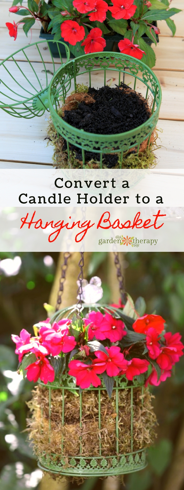 sunpatiens birdcage hanging basket