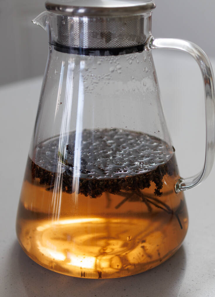 spicebush tea recipe