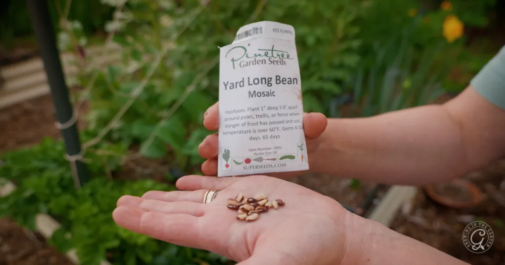 hot weather crops to plant from seed this summer 8 a hand holds yard long bean seeds with a seed packet in a garden setting—perfect for those who prefer planting from seed and want to skip transplants.