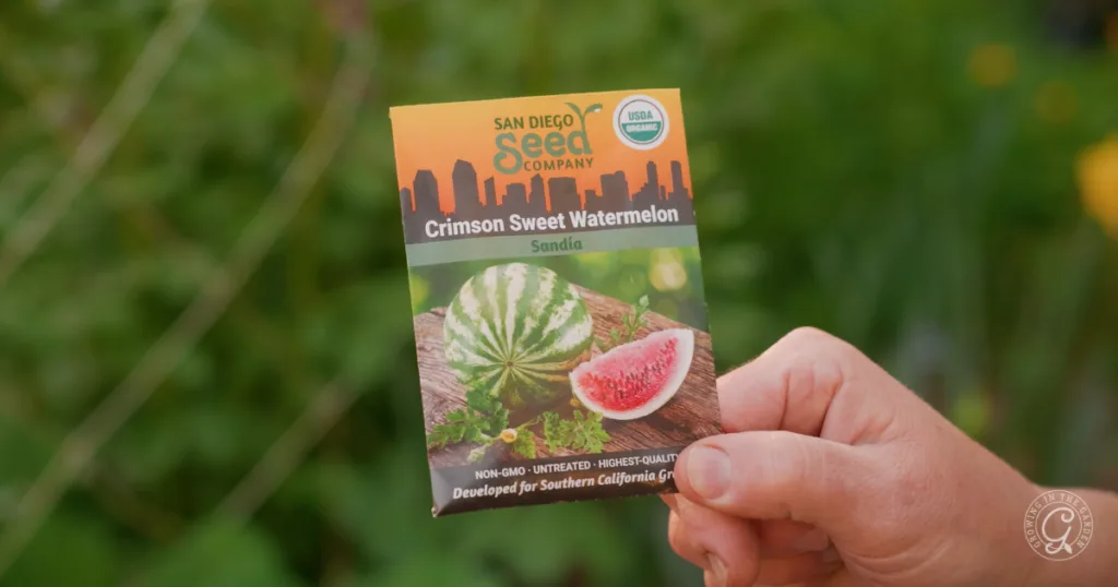 hot weather crops to plant from seed this summer 20 a hand holds a crimson sweet watermelon seed packet from san diego seed company in a garden setting, ready to skip the transplants and plant from seed for a thriving summer harvest.