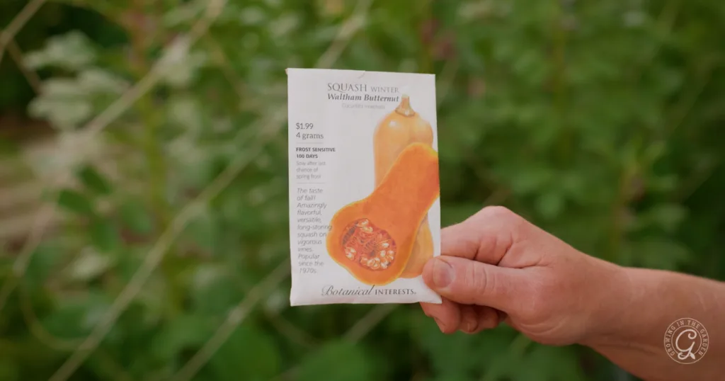 hot weather crops to plant from seed this summer 22 a hand holds a butternut squash seed packet in front of green foliage, ready to plant from seed and skip the transplants.